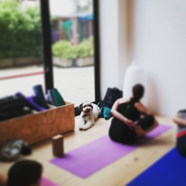 Ashtanga Mysore style