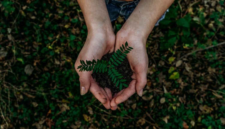 Un patto per l’ambiente