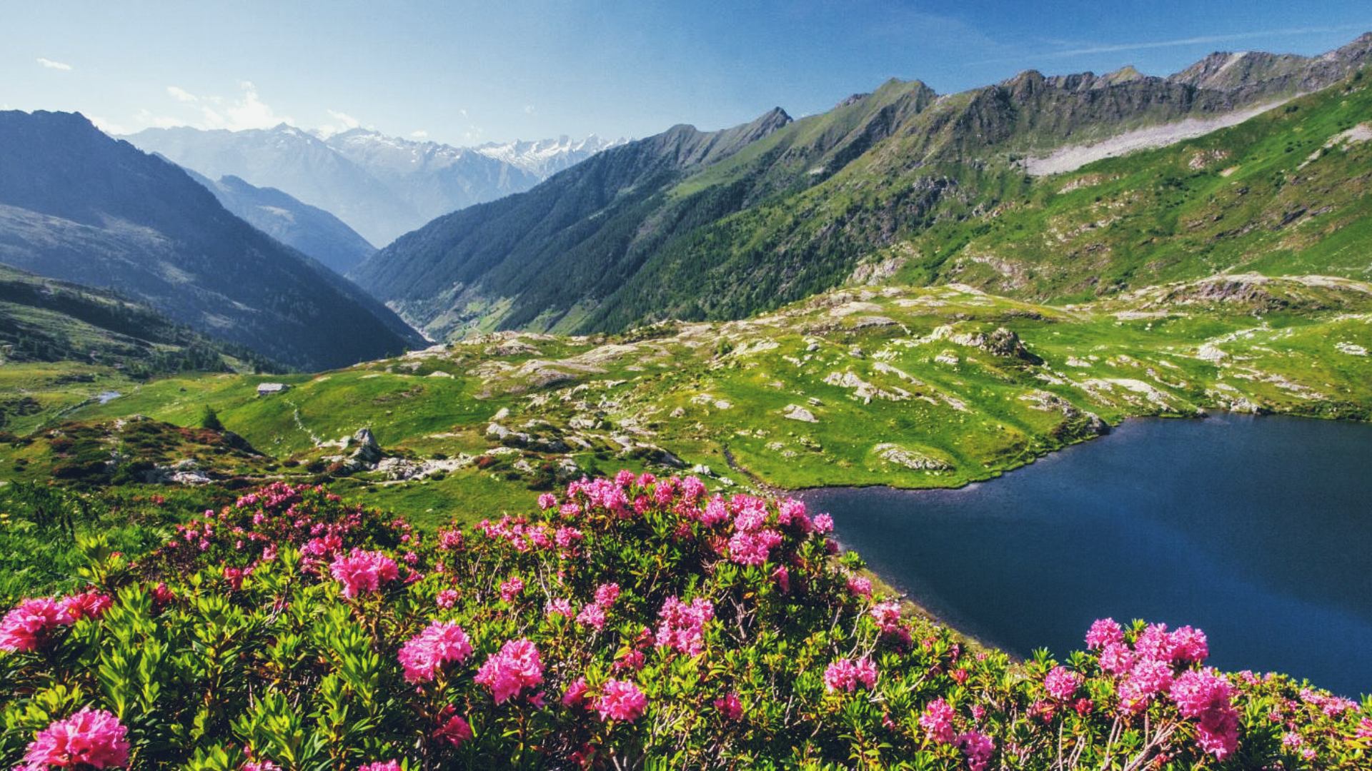 Salita ai Laghi di Porcile e passo Tartano