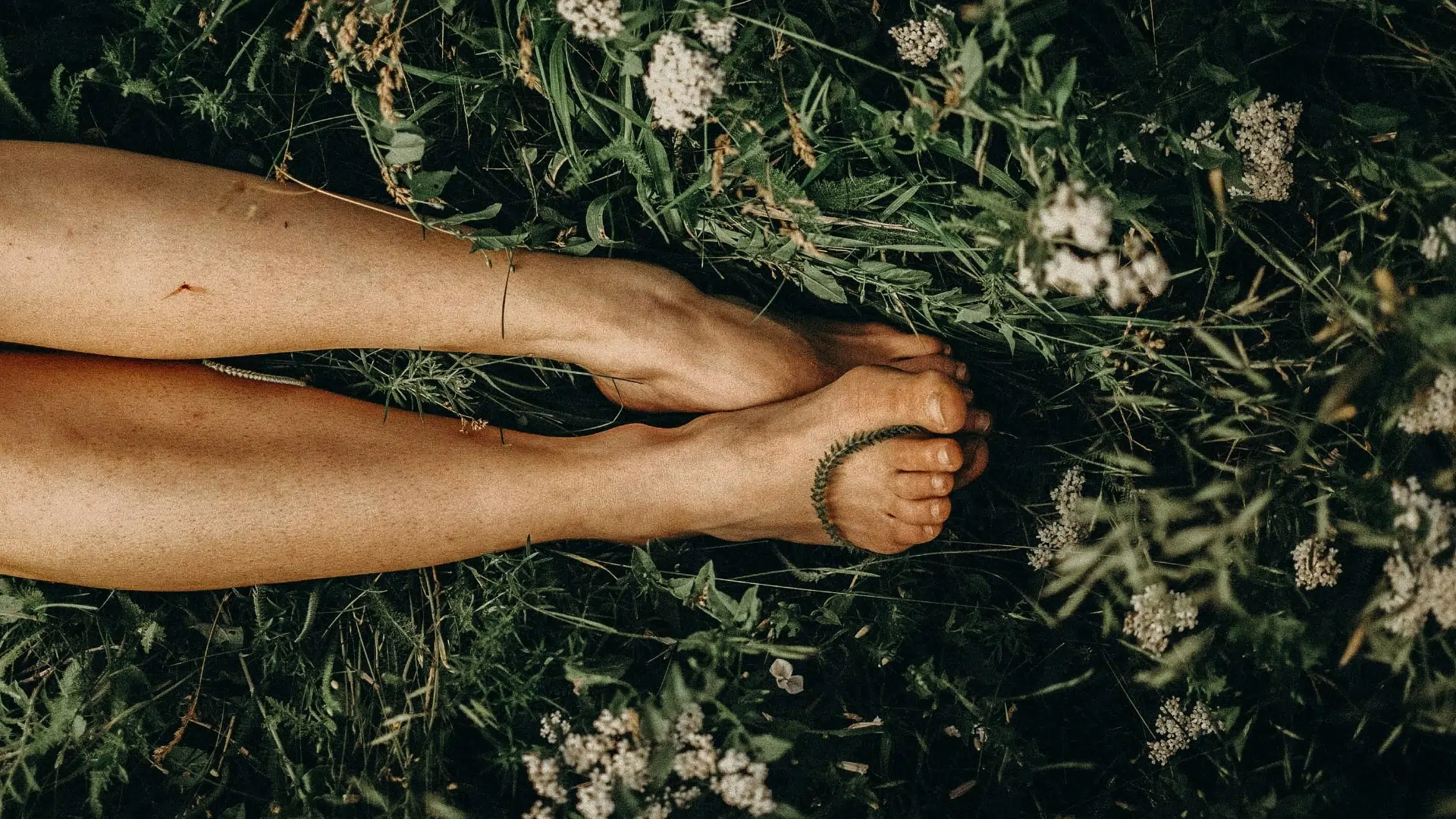 Piedi nudi e gambe distese su un prato con fiori bianchi, copertina dell