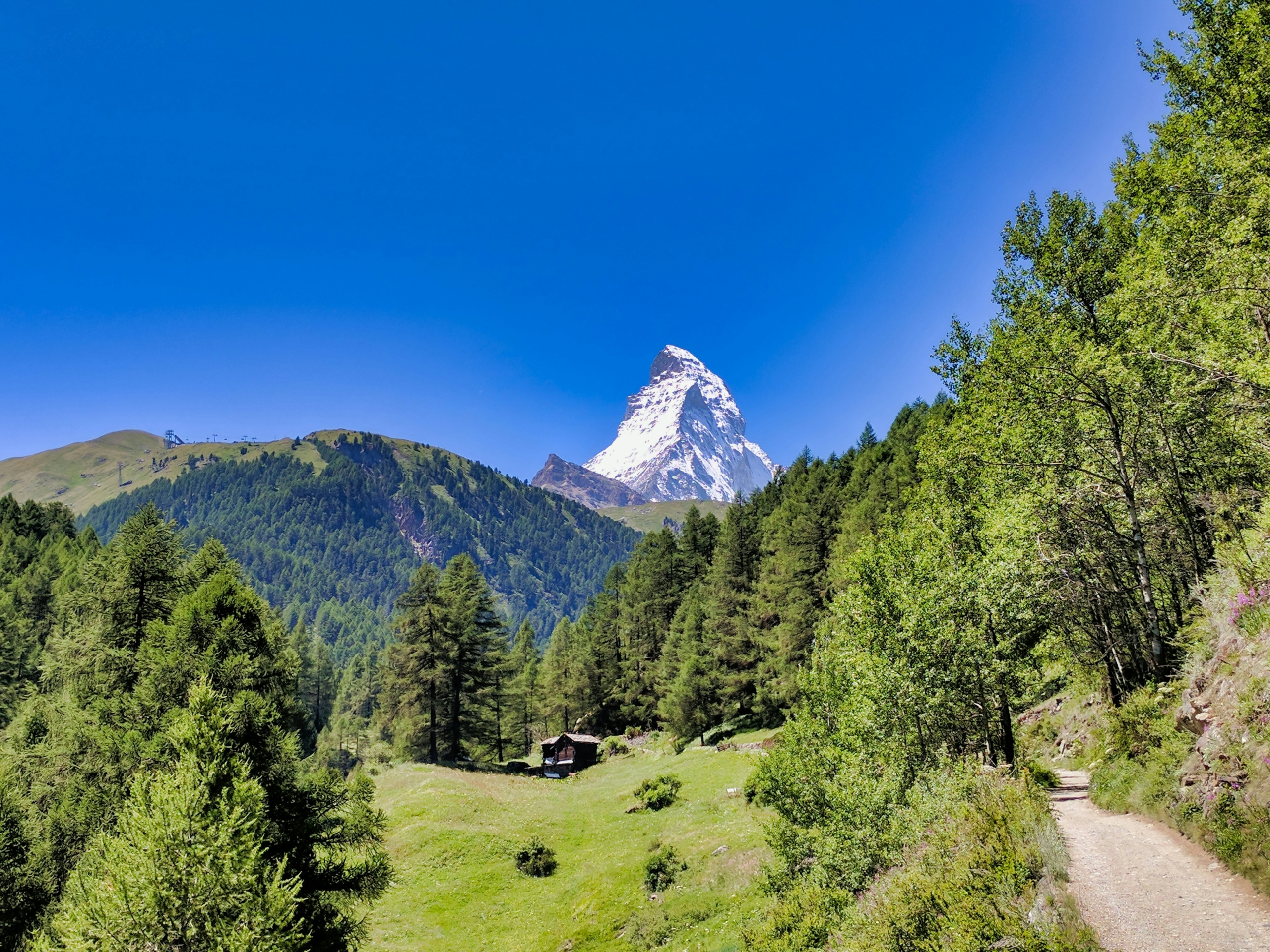 Mountain View with Trees (2)