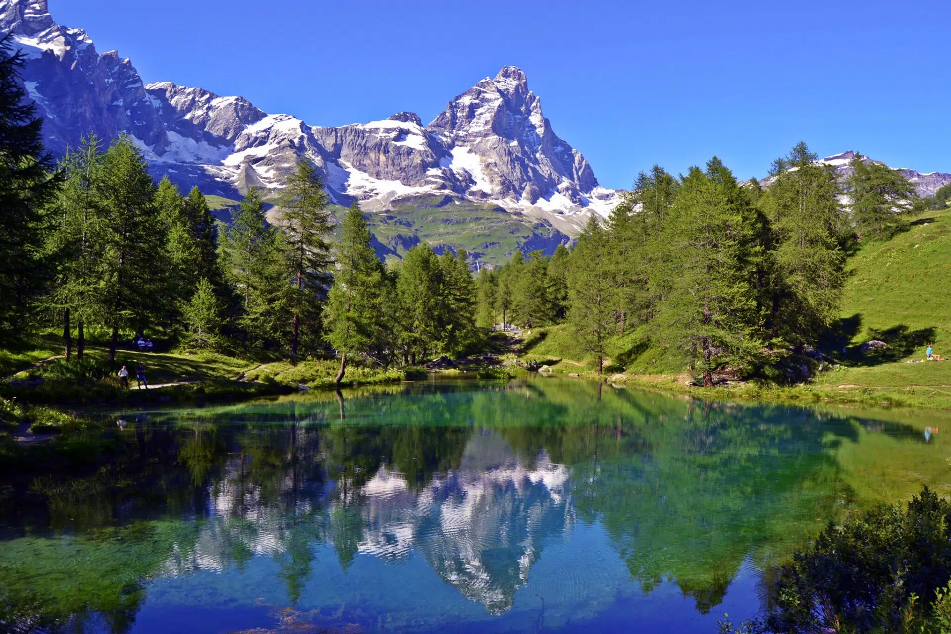 Il Cervino riflesso in un lago alpino turchese, circondato da larici e prati verdi in estate