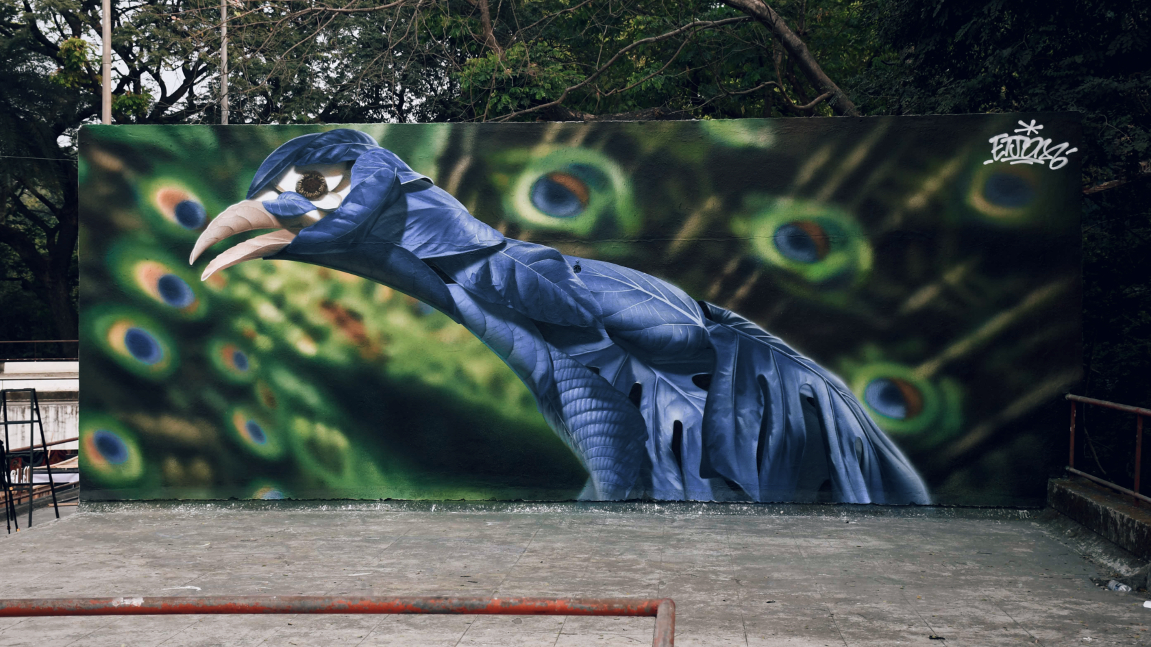 Grande murale su muro esterno con pavone realistico: testa blu-grigia su sfondo di piume ocellate verdi e arancio